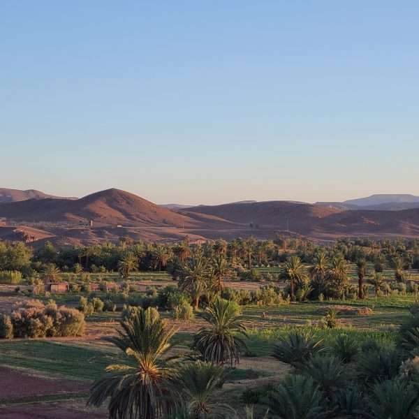 paysage de Ouarzazate