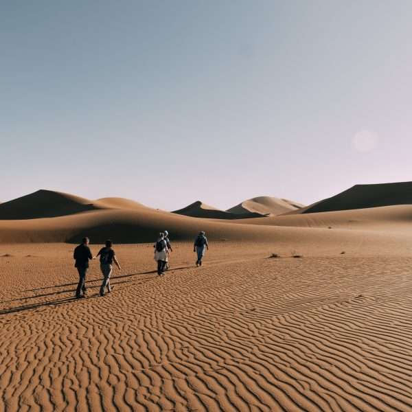 paysage de dunes de sable