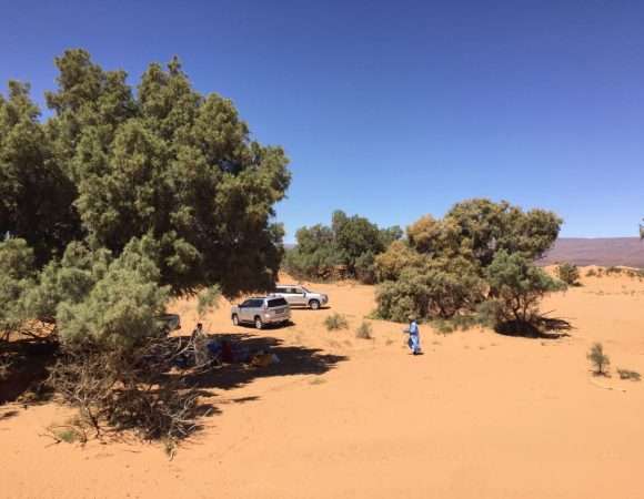 Comment organiser un voyage dans le désert marocain ?