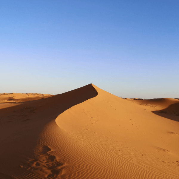 désert marocain en mars