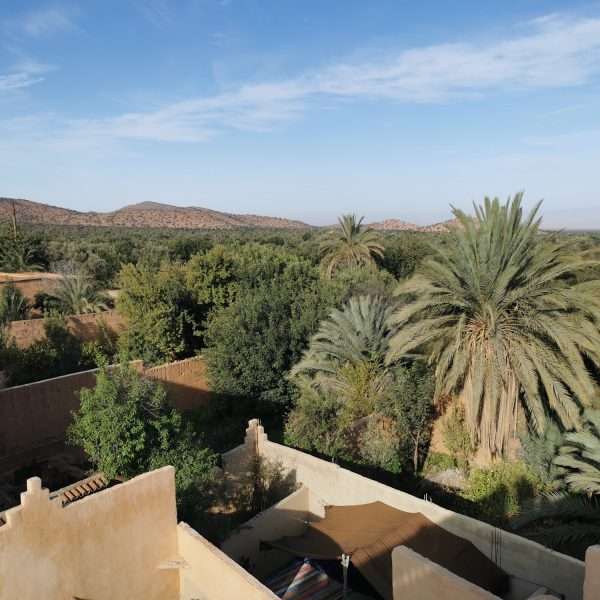 oasis au Maroc