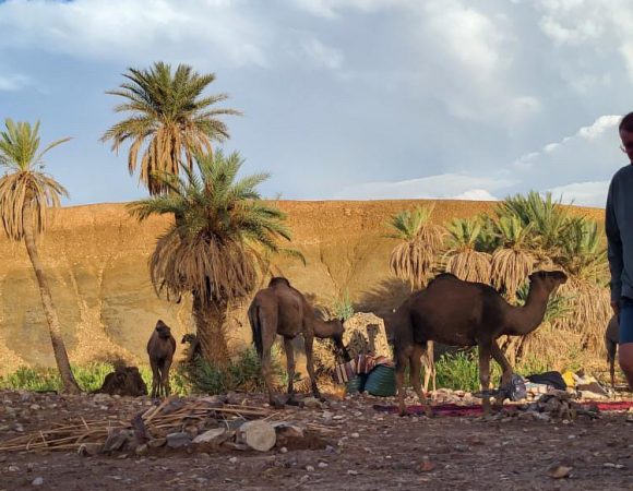 Trekking Djebel Bani Maroc – 8 Jours entre Montagne et Désert