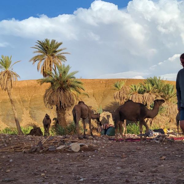 Trekking Djebel Bani : Montagne et Désert