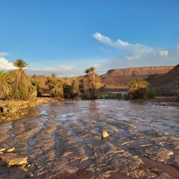 Oued dans le Djebel Bani